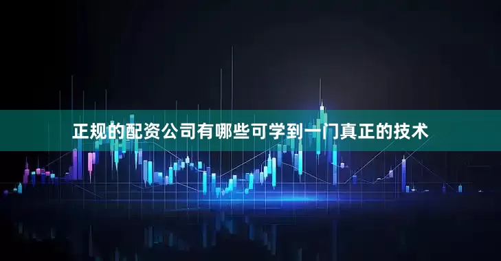 正规的配资公司有哪些可学到一门真正的技术