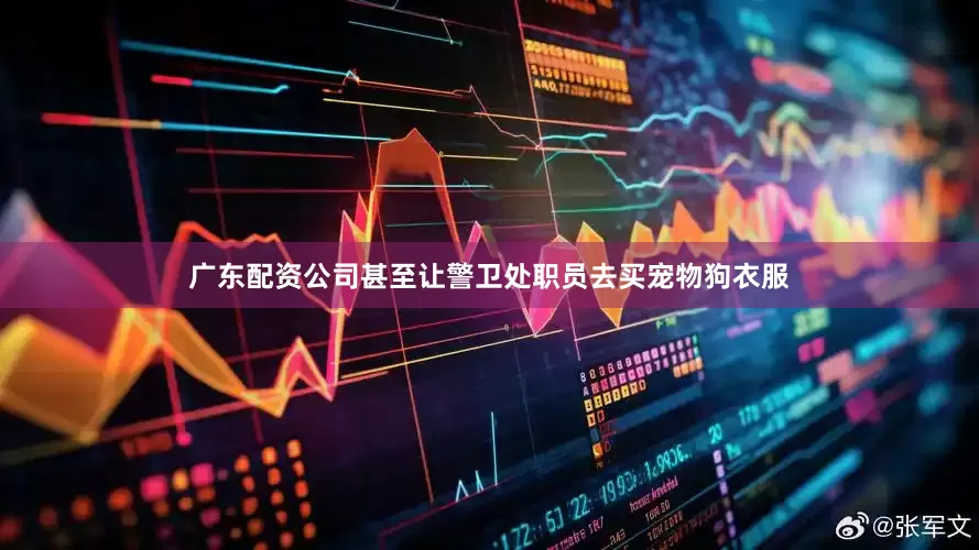 广东配资公司甚至让警卫处职员去买宠物狗衣服
