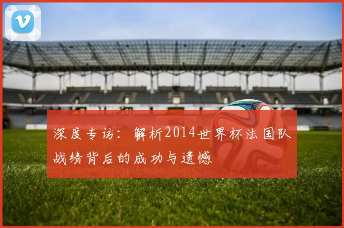 深度专访:解析2014世界杯法国队战绩背后的成功与遗憾