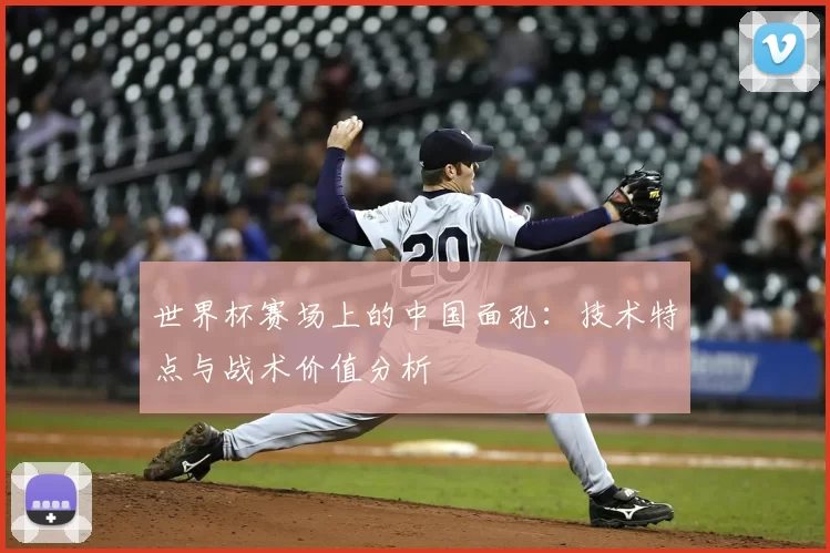 世界杯赛场上的中国面孔：技术特点与战术价值分析