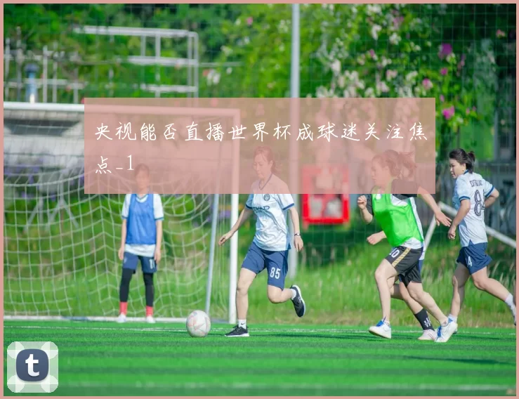 央视能否直播世界杯成球迷关注焦点_1