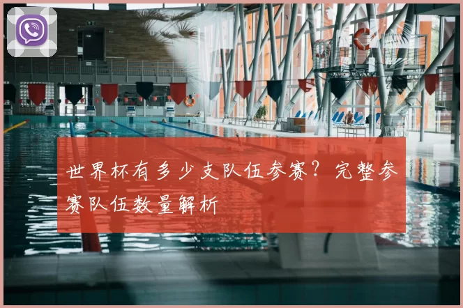 世界杯有多少支队伍参赛？完整参赛队伍数量解析