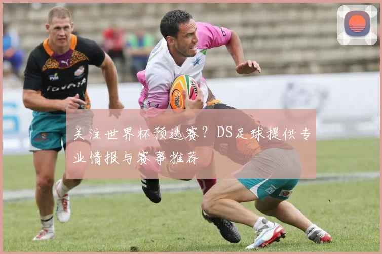 关注世界杯预选赛？DS足球提供专业情报与赛事推荐