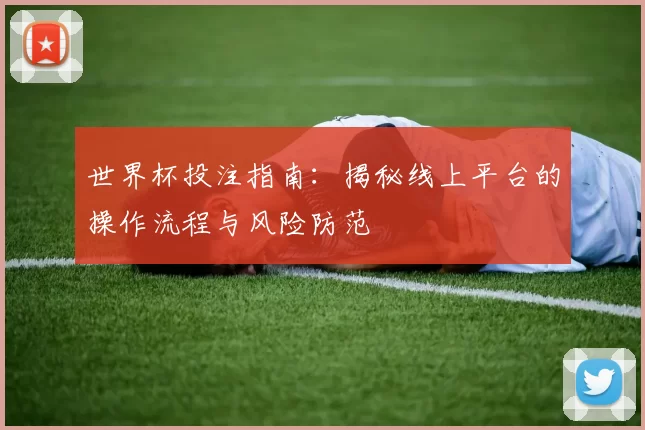 世界杯投注指南：揭秘线上平台的操作流程与风险防范