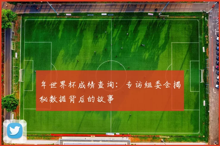 年世界杯成绩查询：专访组委会揭秘数据背后的故事