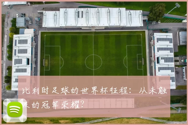 比利时足球的世界杯征程：从未触及的冠军荣耀？