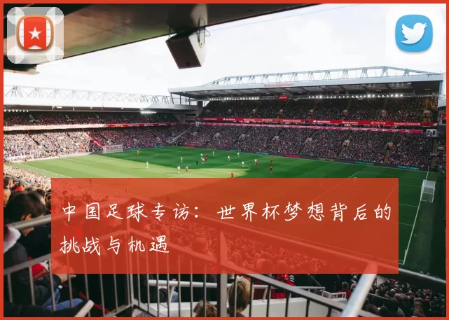 中国足球专访：世界杯梦想背后的挑战与机遇
