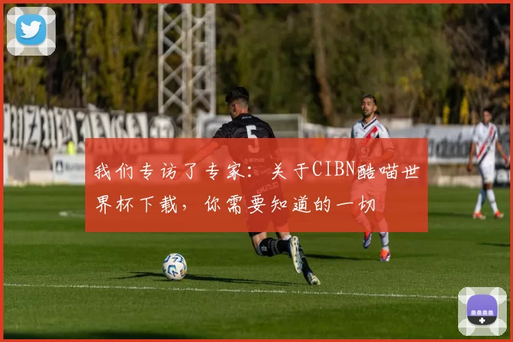 我们专访了专家：关于CIBN酷喵世界杯下载，你需要知道的一切