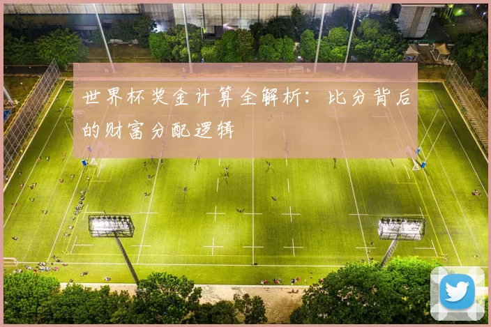 世界杯奖金计算全解析：比分背后的财富分配逻辑