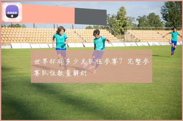 世界杯有多少支队伍参赛？完整参赛队伍数量解析