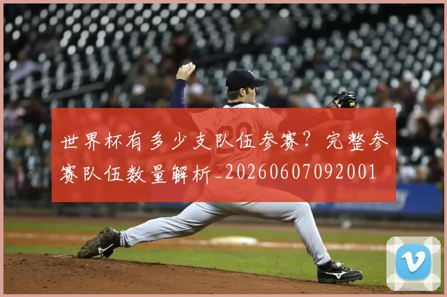 世界杯有多少支队伍参赛？完整参赛队伍数量解析_20260607092001