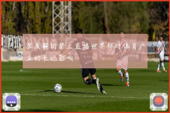 深度解析禁止直播世界杯对体育产业的长远影响