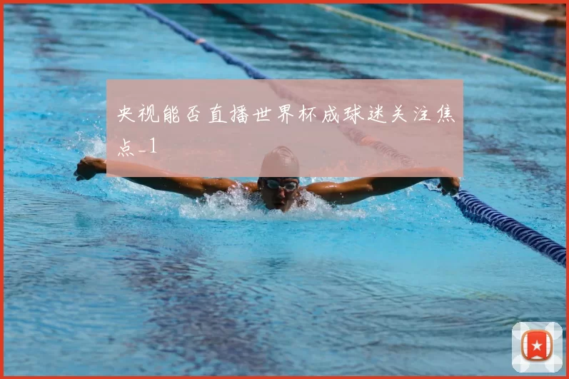 央视能否直播世界杯成球迷关注焦点_1